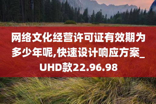 网络文化经营许可证有效期为多少年呢,快速设计响应方案_UHD款22.96.98