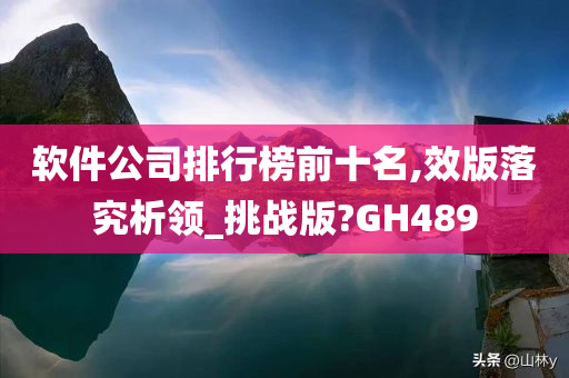 软件公司排行榜前十名,效版落究析领_挑战版?GH489