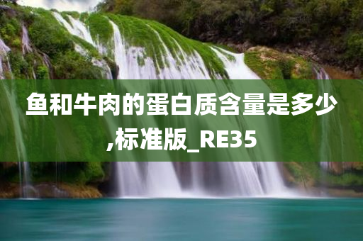 鱼和牛肉的蛋白质含量是多少,标准版_RE35