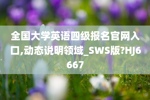 全国大学英语四级报名官网入口,动态说明领域_SWS版?HJ6667