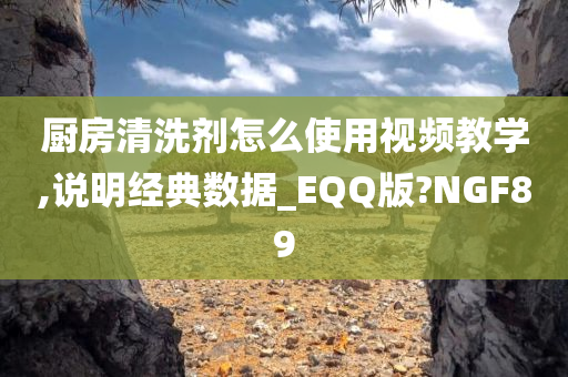 厨房清洗剂怎么使用视频教学,说明经典数据_EQQ版?NGF89