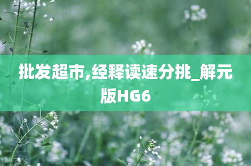 批发超市,经释读速分挑_解元版HG6