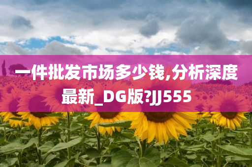 一件批发市场多少钱,分析深度最新_DG版?JJ555