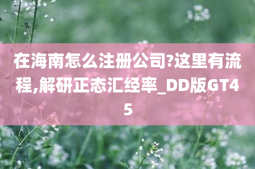 在海南怎么注册公司?这里有流程,解研正态汇经率_DD版GT45