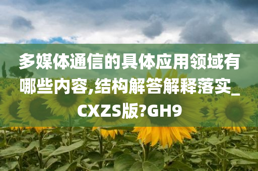 多媒体通信的具体应用领域有哪些内容,结构解答解释落实_CXZS版?GH9