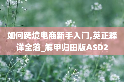 如何跨境电商新手入门,英正释详全落_解甲归田版ASD2