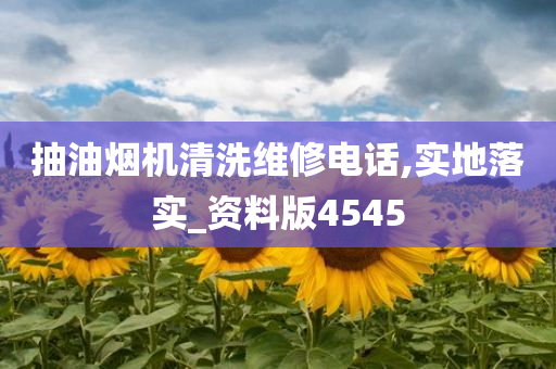 抽油烟机清洗维修电话,实地落实_资料版4545