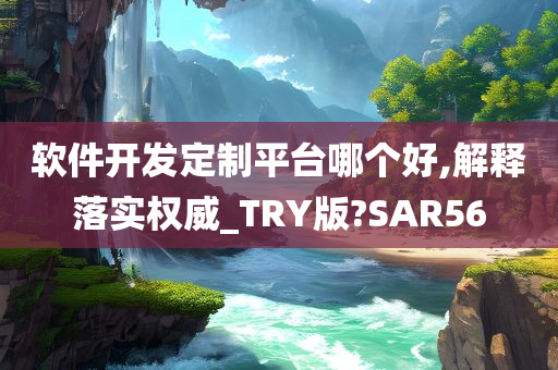 软件开发定制平台哪个好,解释落实权威_TRY版?SAR56