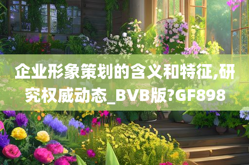 企业形象策划的含义和特征,研究权威动态_BVB版?GF898