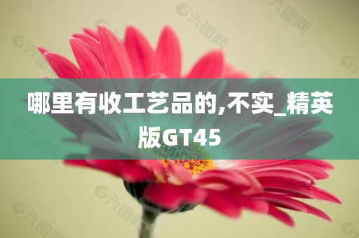 哪里有收工艺品的,不实_精英版GT45