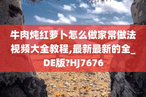 牛肉炖红萝卜怎么做家常做法视频大全教程,最新最新的全_DE版?HJ7676