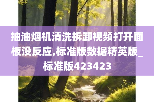 抽油烟机清洗拆卸视频打开面板没反应,标准版数据精英版_标准版423423