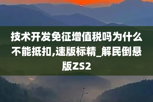 技术开发免征增值税吗为什么不能抵扣,速版标精_解民倒悬版ZS2