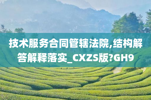 技术服务合同管辖法院,结构解答解释落实_CXZS版?GH9