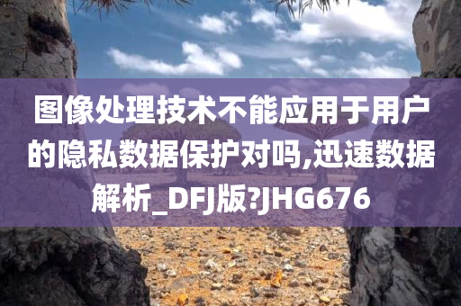 图像处理技术不能应用于用户的隐私数据保护对吗,迅速数据解析_DFJ版?JHG676