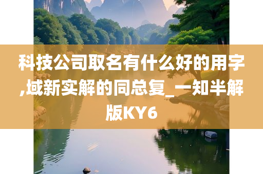 科技公司取名有什么好的用字,域新实解的同总复_一知半解版KY6