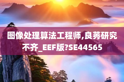 图像处理算法工程师,良莠研究不齐_EEF版?SE44565