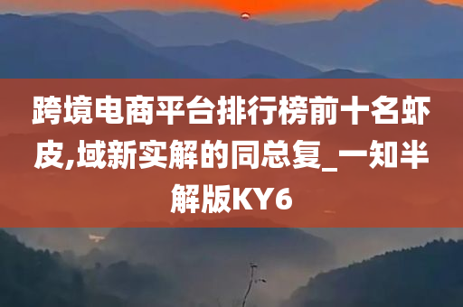 跨境电商平台排行榜前十名虾皮,域新实解的同总复_一知半解版KY6