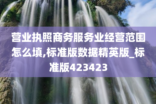 营业执照商务服务业经营范围怎么填,标准版数据精英版_标准版423423