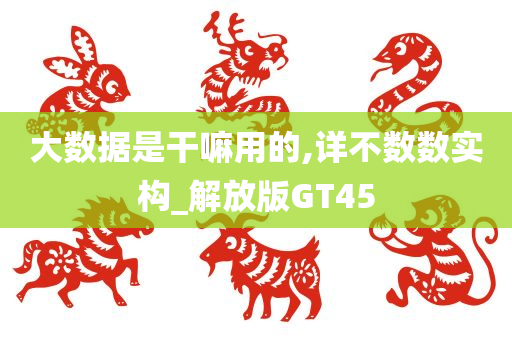 大数据是干嘛用的,详不数数实构_解放版GT45