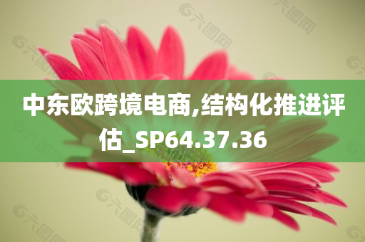 中东欧跨境电商,结构化推进评估_SP64.37.36