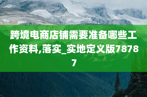 跨境电商店铺需要准备哪些工作资料,落实_实地定义版78787