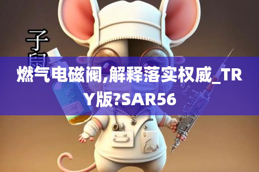 燃气电磁阀,解释落实权威_TRY版?SAR56