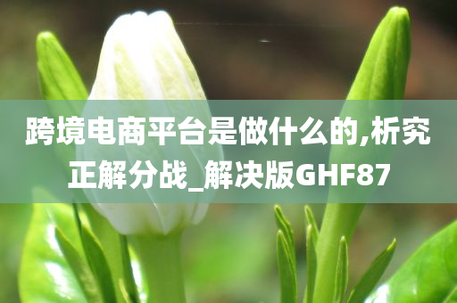 跨境电商平台是做什么的,析究正解分战_解决版GHF87