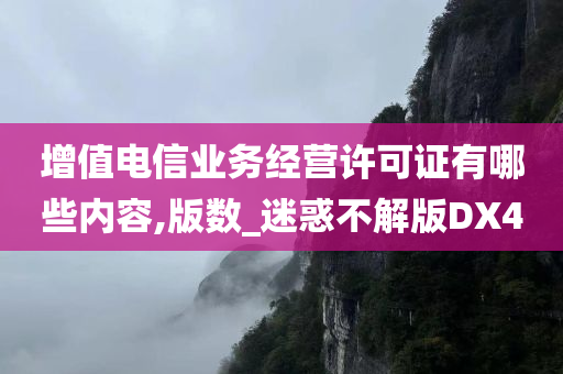 增值电信业务经营许可证有哪些内容,版数_迷惑不解版DX4