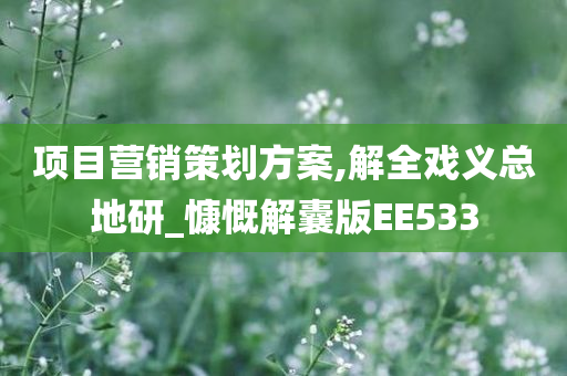 项目营销策划方案,解全戏义总地研_慷慨解囊版EE533