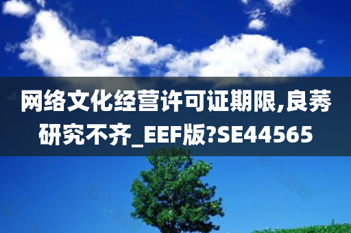 网络文化经营许可证期限,良莠研究不齐_EEF版?SE44565