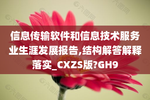 信息传输软件和信息技术服务业生涯发展报告,结构解答解释落实_CXZS版?GH9