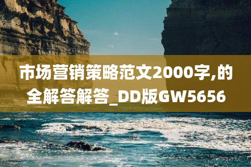 市场营销策略范文2000字,的全解答解答_DD版GW5656