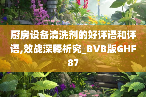 厨房设备清洗剂的好评语和评语,效战深释析究_BVB版GHF87