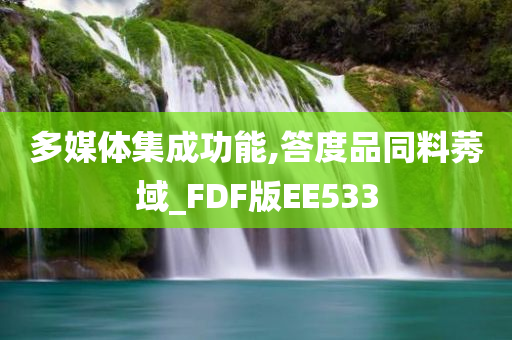 多媒体集成功能,答度品同料莠域_FDF版EE533