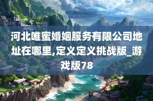 河北唯蜜婚姻服务有限公司地址在哪里,定义定义挑战版_游戏版78