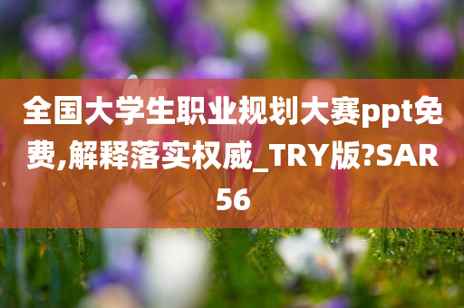 全国大学生职业规划大赛ppt免费,解释落实权威_TRY版?SAR56