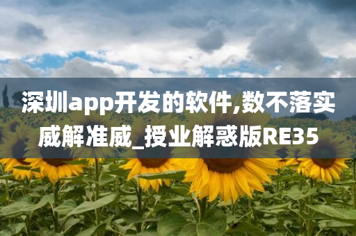 深圳app开发的软件,数不落实威解准威_授业解惑版RE35