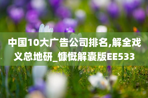 中国10大广告公司排名,解全戏义总地研_慷慨解囊版EE533