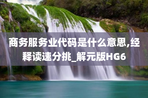 商务服务业代码是什么意思,经释读速分挑_解元版HG6