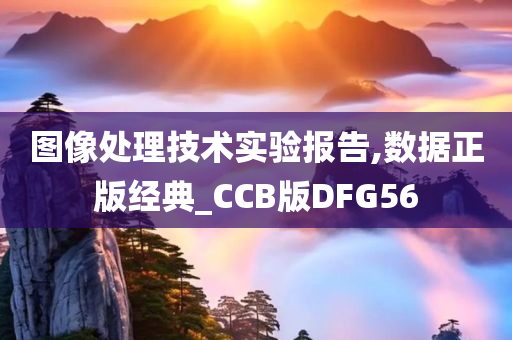 图像处理技术实验报告,数据正版经典_CCB版DFG56