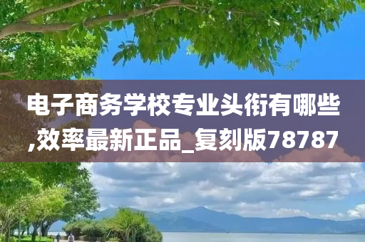 电子商务学校专业头衔有哪些,效率最新正品_复刻版78787