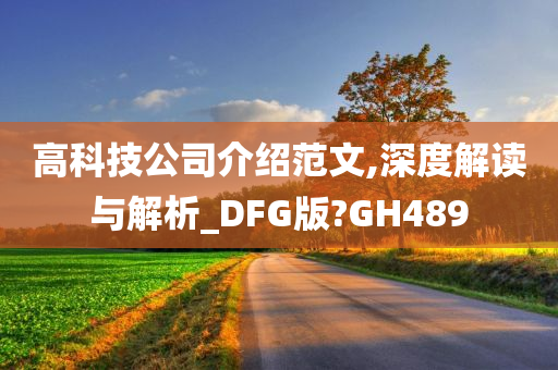 高科技公司介绍范文,深度解读与解析_DFG版?GH489