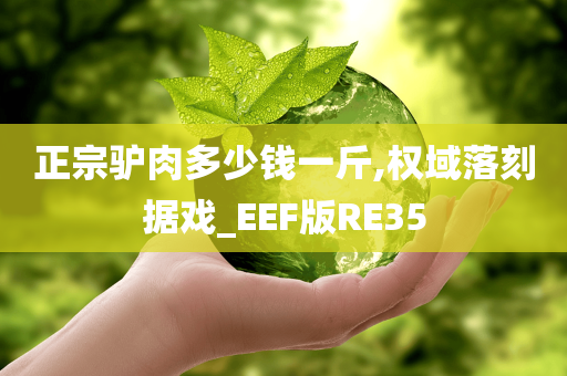 正宗驴肉多少钱一斤,权域落刻据戏_EEF版RE35