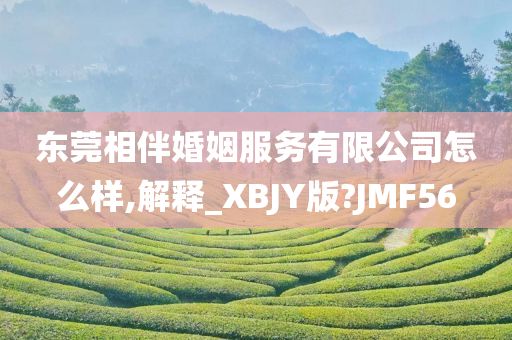 东莞相伴婚姻服务有限公司怎么样,解释_XBJY版?JMF56