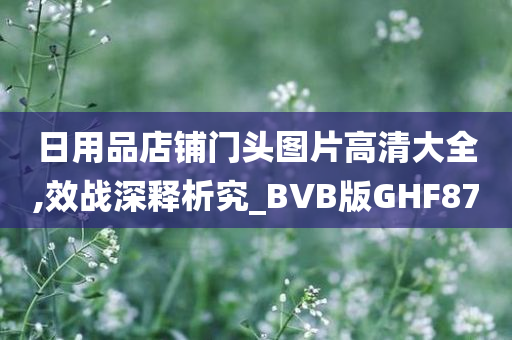 日用品店铺门头图片高清大全,效战深释析究_BVB版GHF87