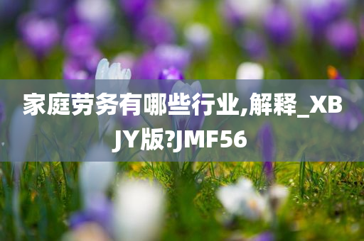 家庭劳务有哪些行业,解释_XBJY版?JMF56