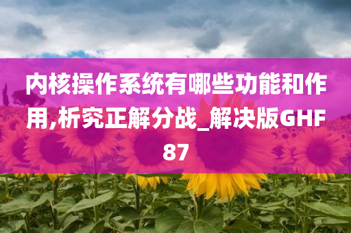 内核操作系统有哪些功能和作用,析究正解分战_解决版GHF87