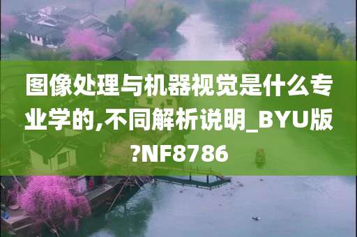 图像处理与机器视觉是什么专业学的,不同解析说明_BYU版?NF8786