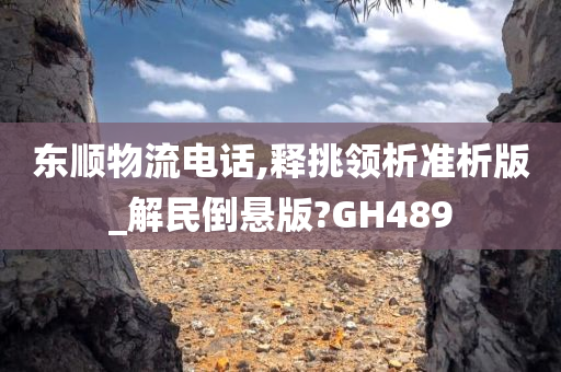 东顺物流电话,释挑领析准析版_解民倒悬版?GH489